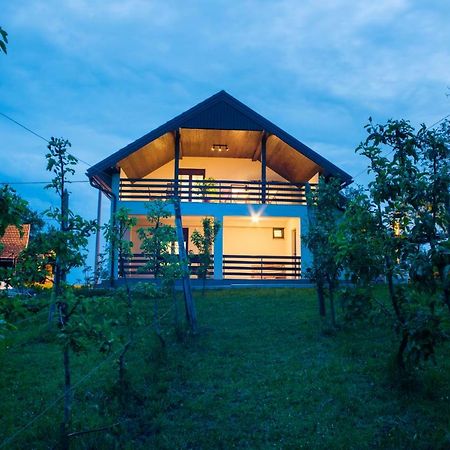 Holiday Home Dandelion With Hot Tub & Sauna Cetingrad Zewnętrze zdjęcie