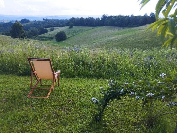 Holiday Home Dandelion With Hot Tub & Sauna Cetingrad Zewnętrze zdjęcie