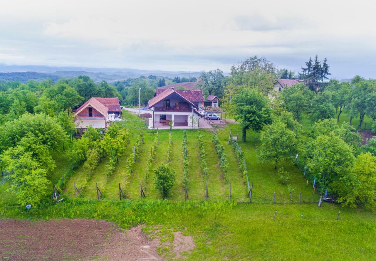 Holiday Home Dandelion With Hot Tub & Sauna Cetingrad Zewnętrze zdjęcie