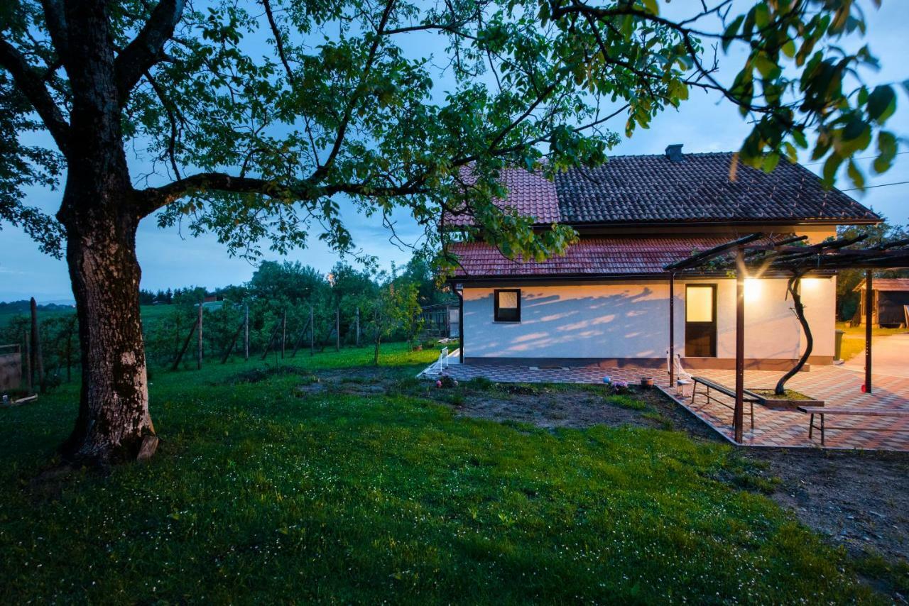 Holiday Home Dandelion With Hot Tub & Sauna Cetingrad Zewnętrze zdjęcie