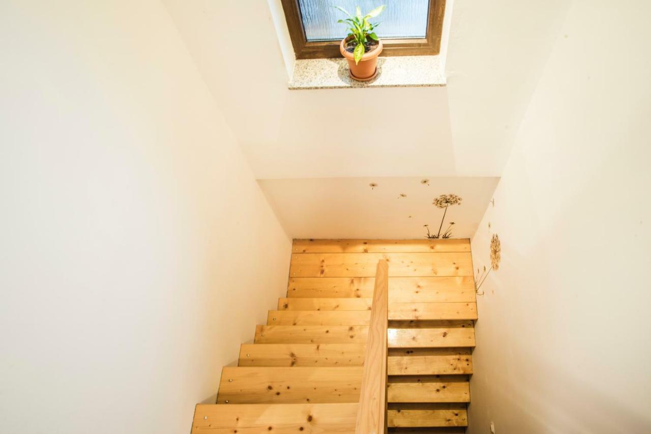 Holiday Home Dandelion With Hot Tub & Sauna Cetingrad Zewnętrze zdjęcie